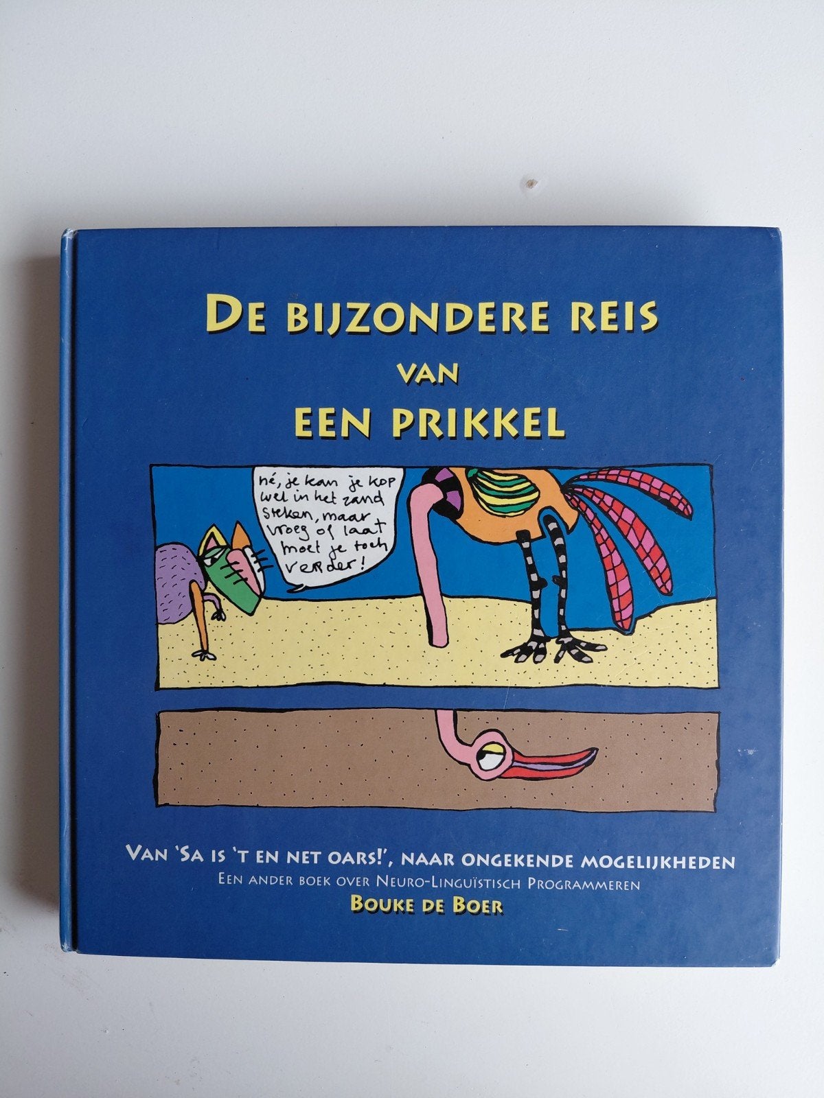 Berna de Boer - De bijzondere reis van een prikkel, Ophalen of Verzenden, Zo goed als nieuw, Ontwikkelingspsychologie, Berna de Boer