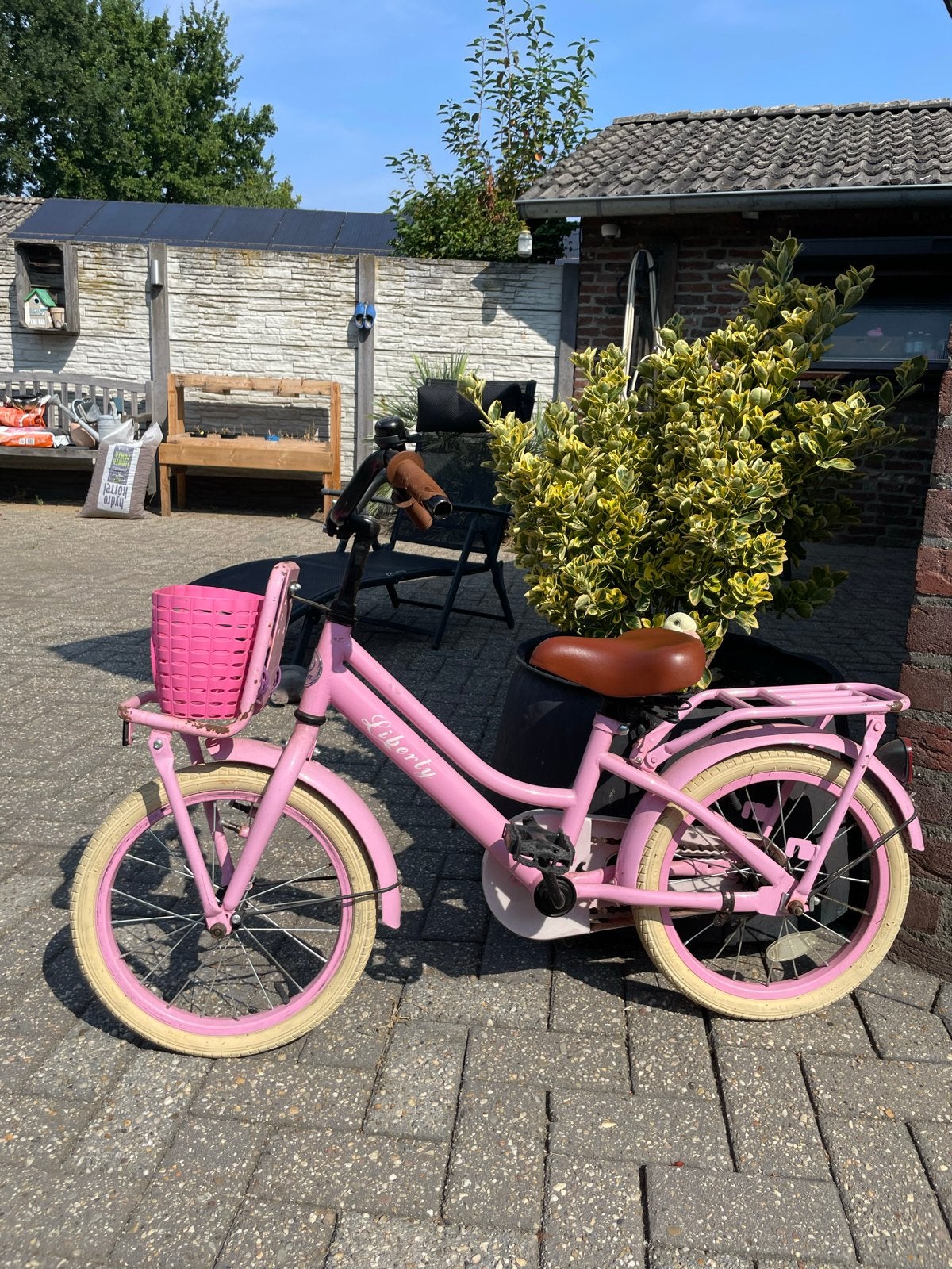 Roze meisjesfiets 16 inch - Gebruikt, maar kan nog een ronde, Ophalen, Gebruikt, 16 tot 20 inch