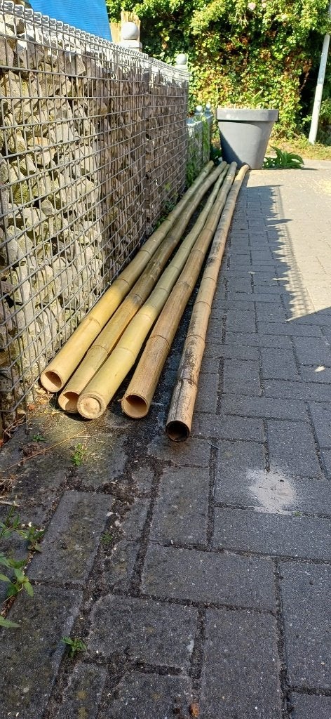 Lange bamboestokken, Tuin en Terras, Palen, Balken en Planken, Ophalen, Nieuw, 250 cm of meer, Palen