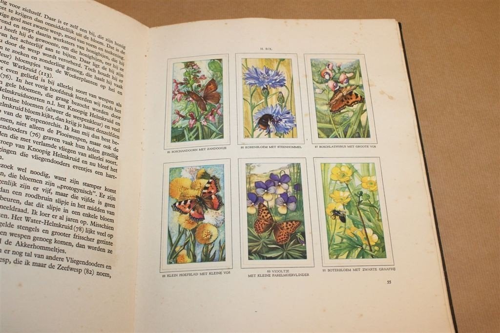 De Bloemen En Haar Vrienden — Jac P. Thijsse, Verkade 1934, Ophalen of Verzenden, Gelezen
