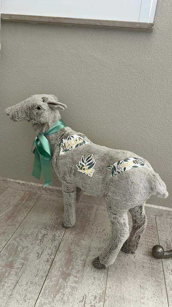 Baby decoratie schaap, Ophalen of Verzenden, Zo goed als nieuw, Wanddecoratie