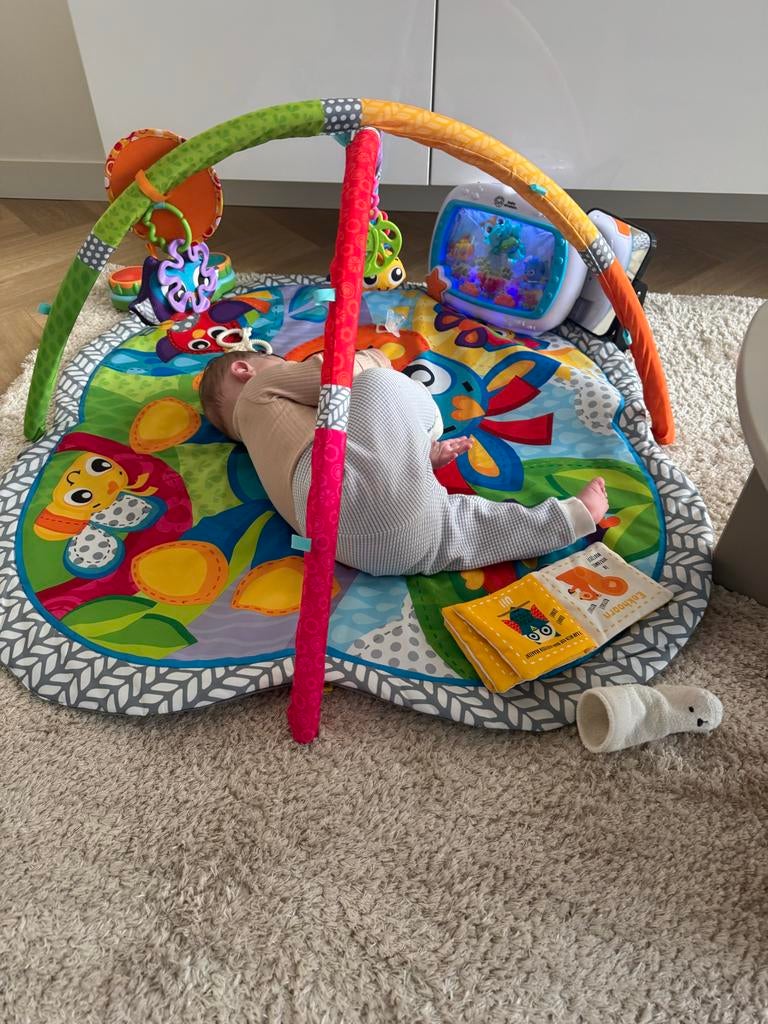 Playgro Babygym/Speelkleed - Zo goed als nieuw, Ophalen, Zo goed als nieuw