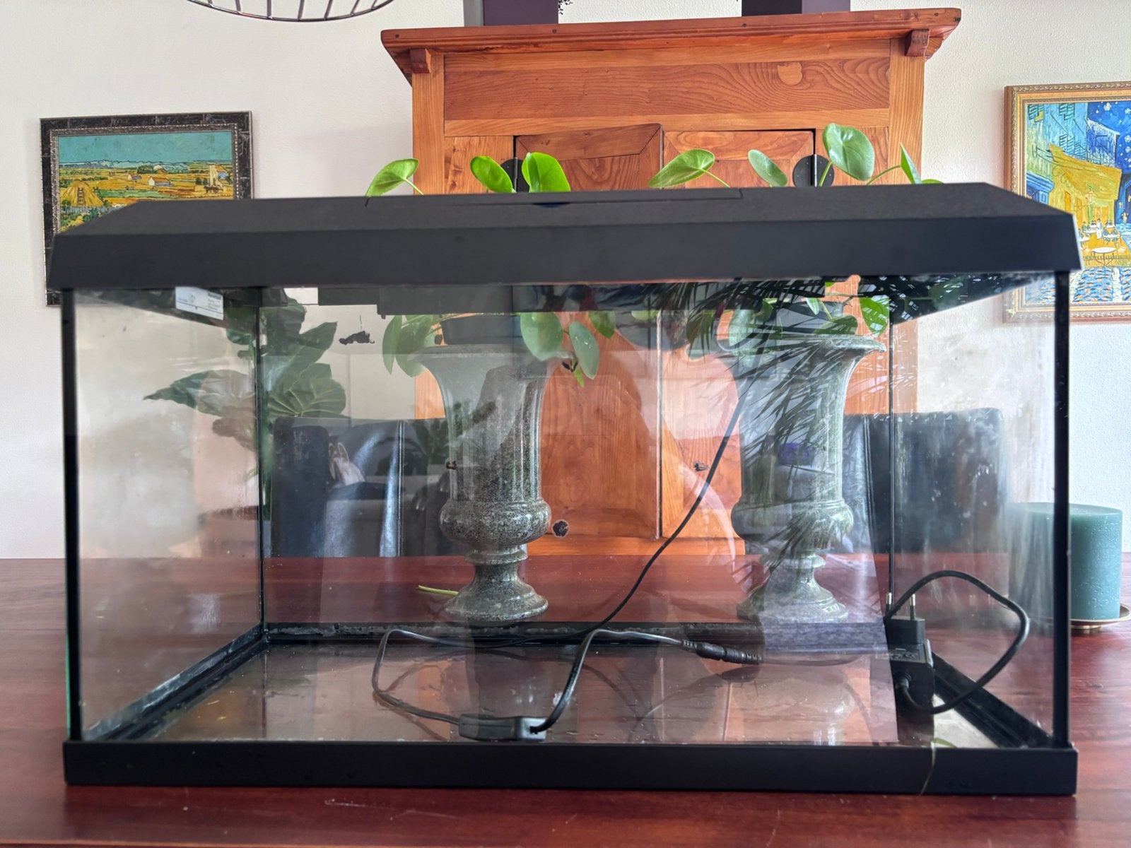 Juwel 60 liter aquarium, Ophalen, Leeg aquarium