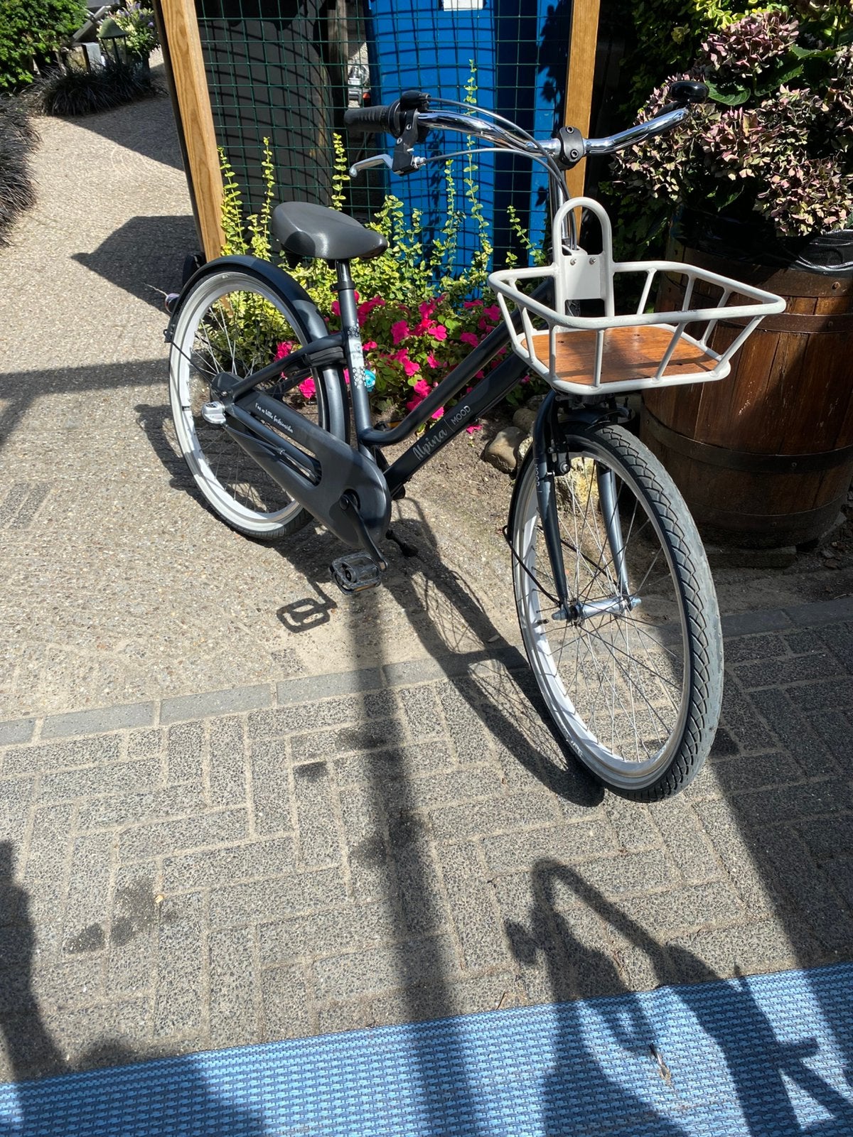 Alpina Mood 24 inch 3 versnelling grijs, Ophalen, Zo goed als nieuw, 24 inch, Handrem