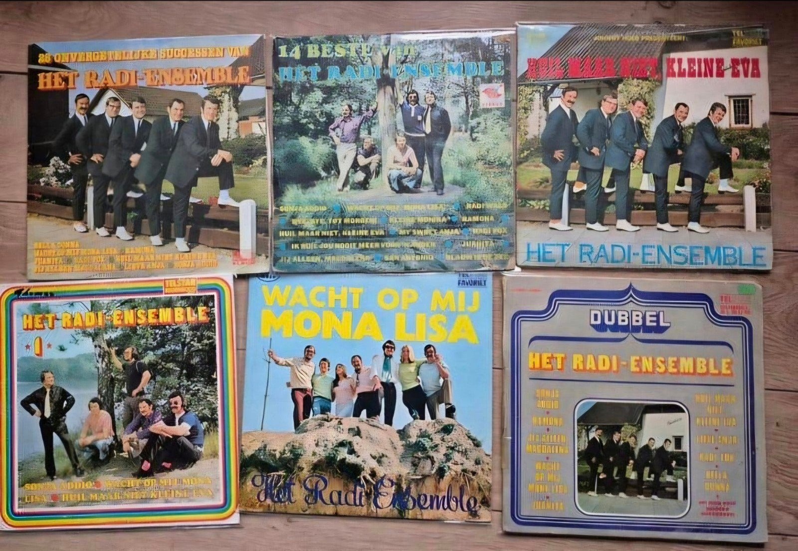 Radi Ensemble LP collectie piraten hits. Zeldzaam., Ophalen of Verzenden, Zo goed als nieuw, 12 inch, Levenslied of Smartlap