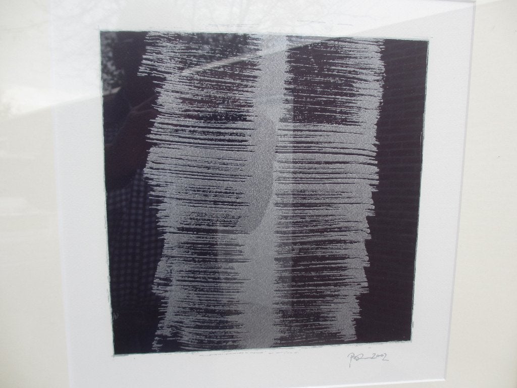 Zeefdruk Toine Horvers 2002, Ophalen of Verzenden, Abstract, Zeefdruk