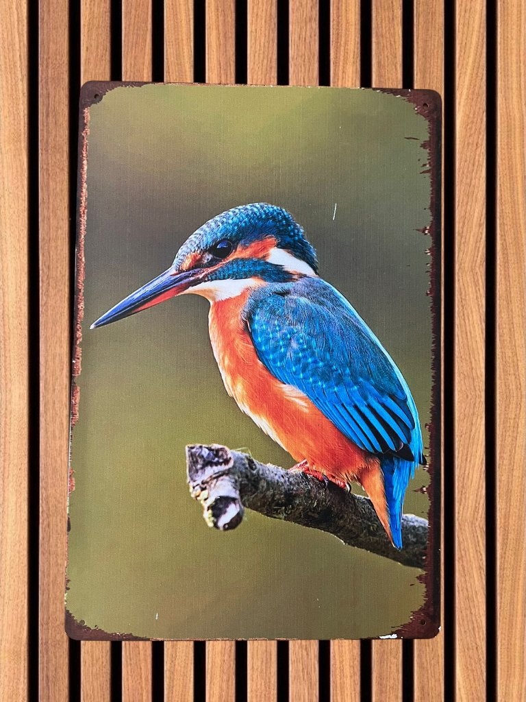 Vogel metalen wandbord, Metaal, Nieuw, Ophalen of Verzenden, Wandbord of Wandpaneel