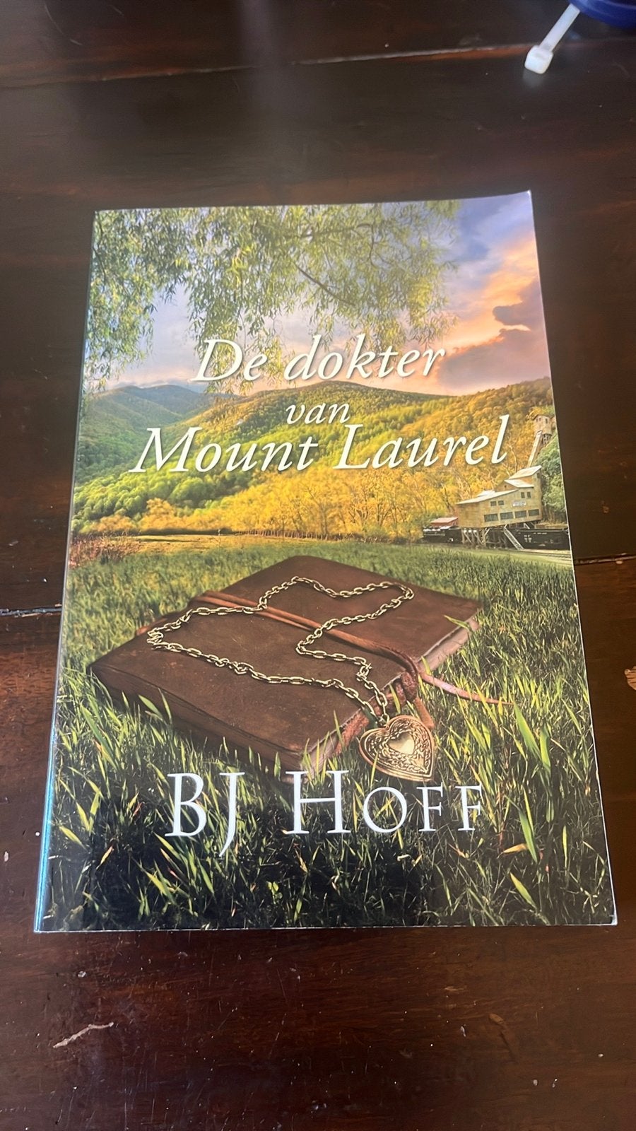 De dokter van Mount Laurel - BJ Hoff (Roman), Boeken, Ophalen of Verzenden, Gelezen