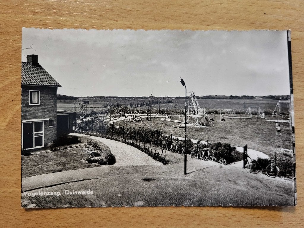 ansicht VOGELENZANG Duinweide, Ophalen of Verzenden, Voor 1920, Noord-Holland