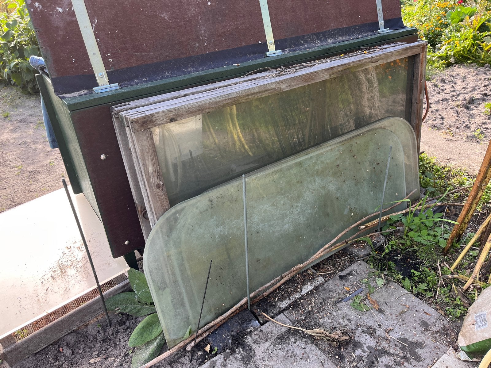 Gratis Glazen platen voor moestuin koude bak, Ophalen, Glas, Gebruikt, Kweekkas