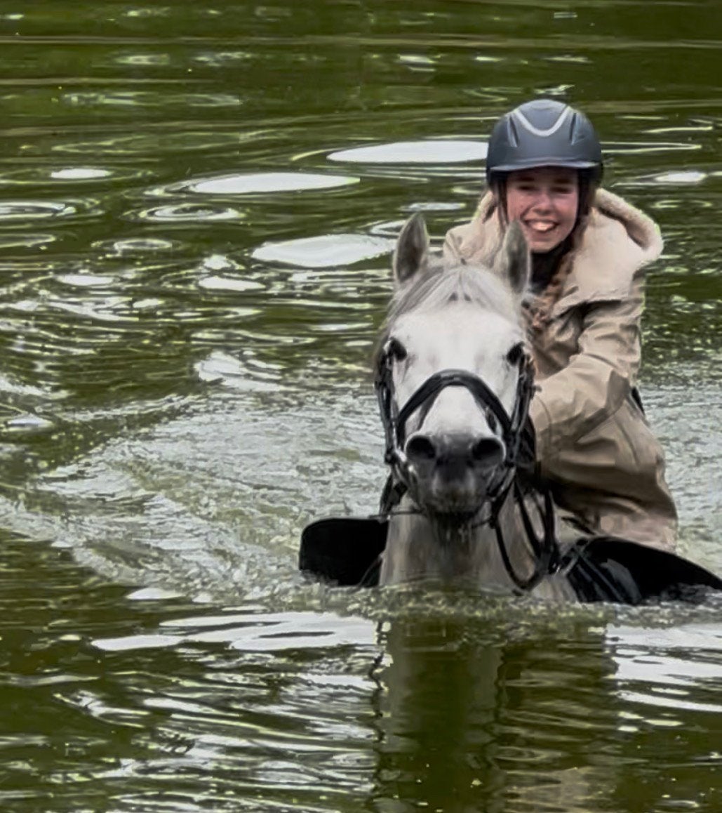 Werkwillige Connemara Ruin 6 jaar 1,48m Annaghmore x Tasty P, Dieren en Toebehoren, Pony's, Met stamboom, Ruin, 3 tot 6 jaar, L