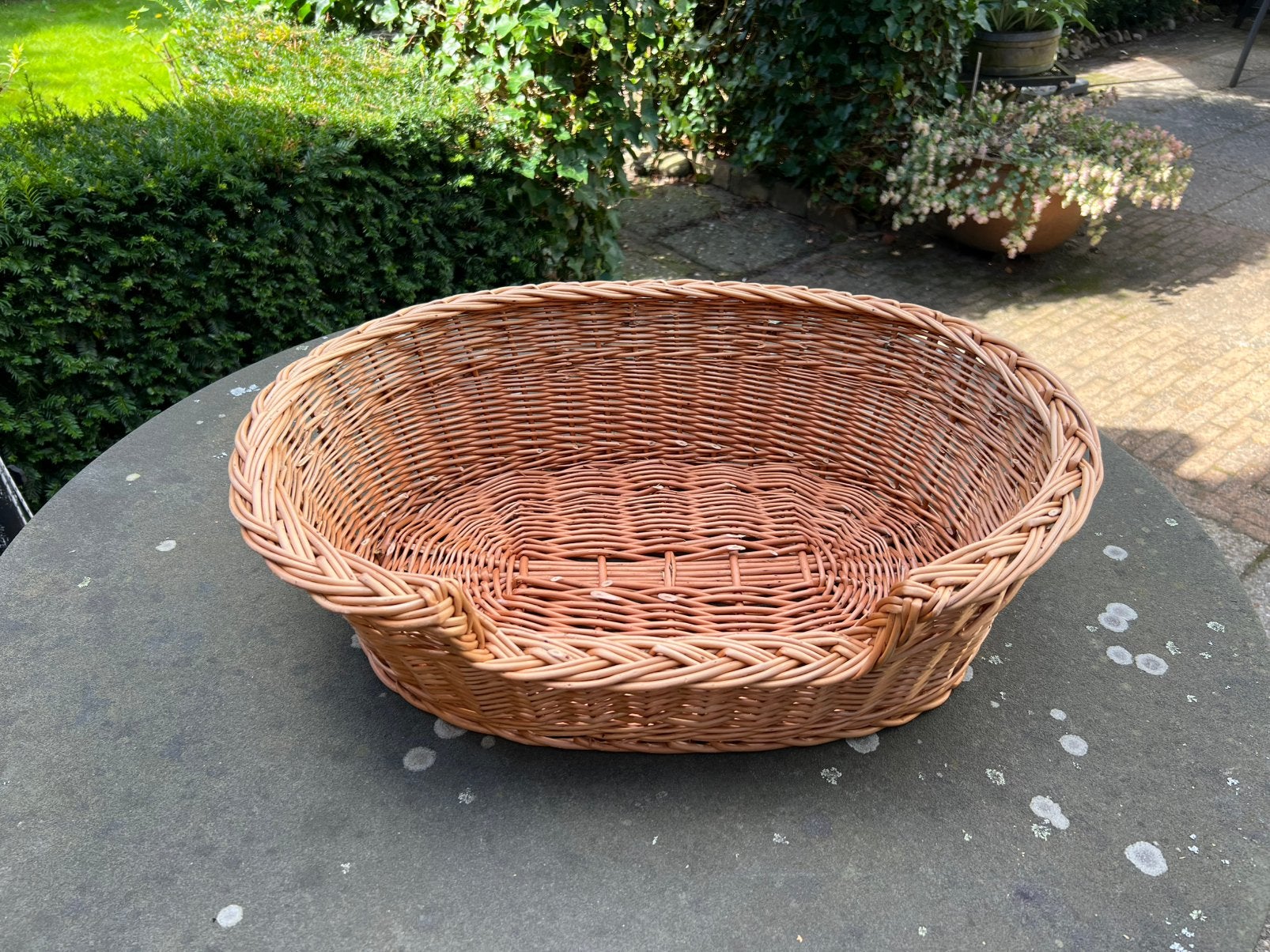 Rieten hondenmand 60x45 cm, Ophalen, Zo goed als nieuw, Riet