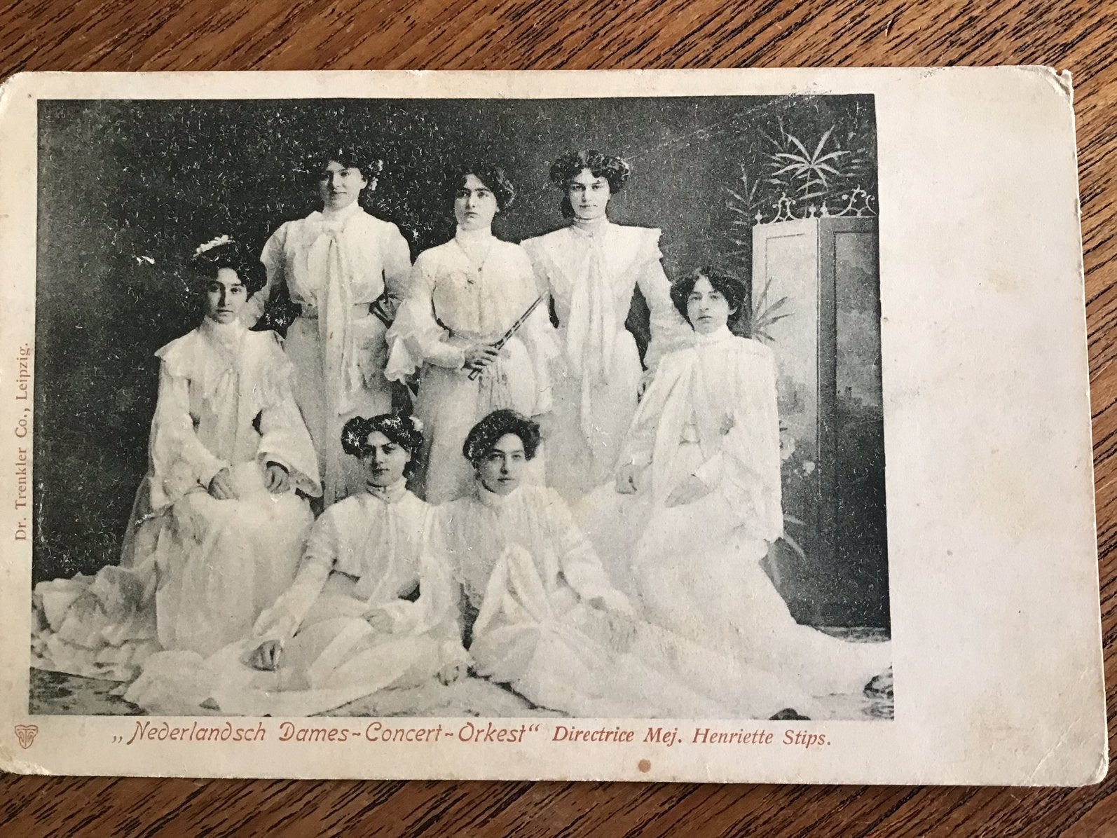 Nederlandsch Dames-Concert-Orkest, Verzamelen, Ophalen of Verzenden, Voor 1920, Ongelopen