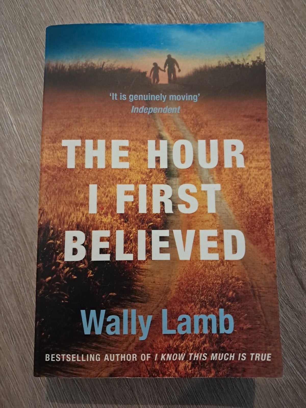 The Hour I First Believed - Wally Lamb (Engels), Boeken, Ophalen of Verzenden, Gelezen, Wally Lamb, Europa overig