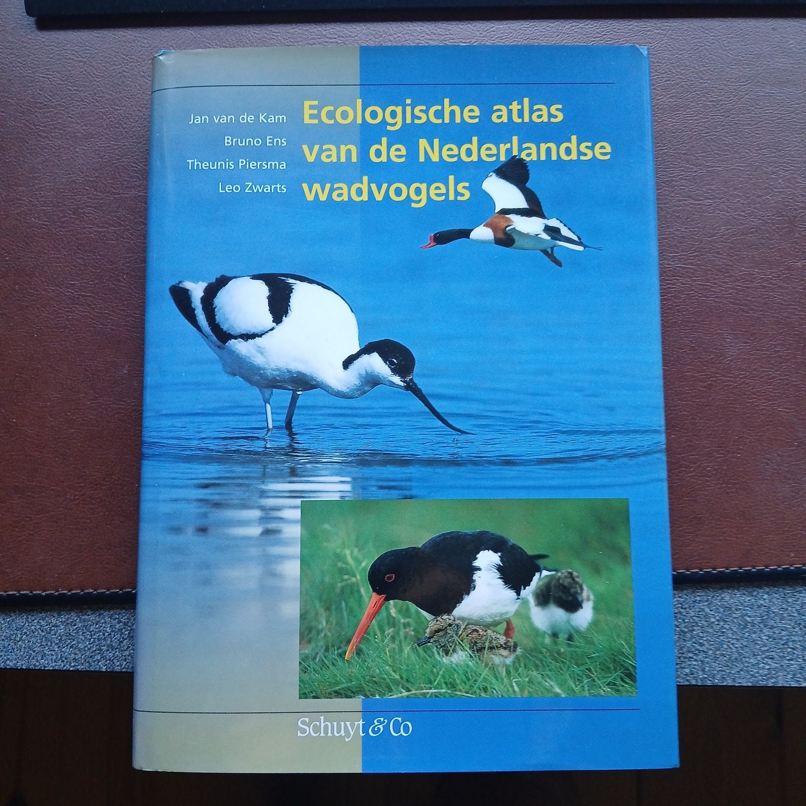 Ecologische atlas van de Nederlandse wadvogels, Ophalen of Verzenden, Gelezen, Vogels, Jan van de Kam, Bruno Ens, Theunis Piersma, Leo Zwarts