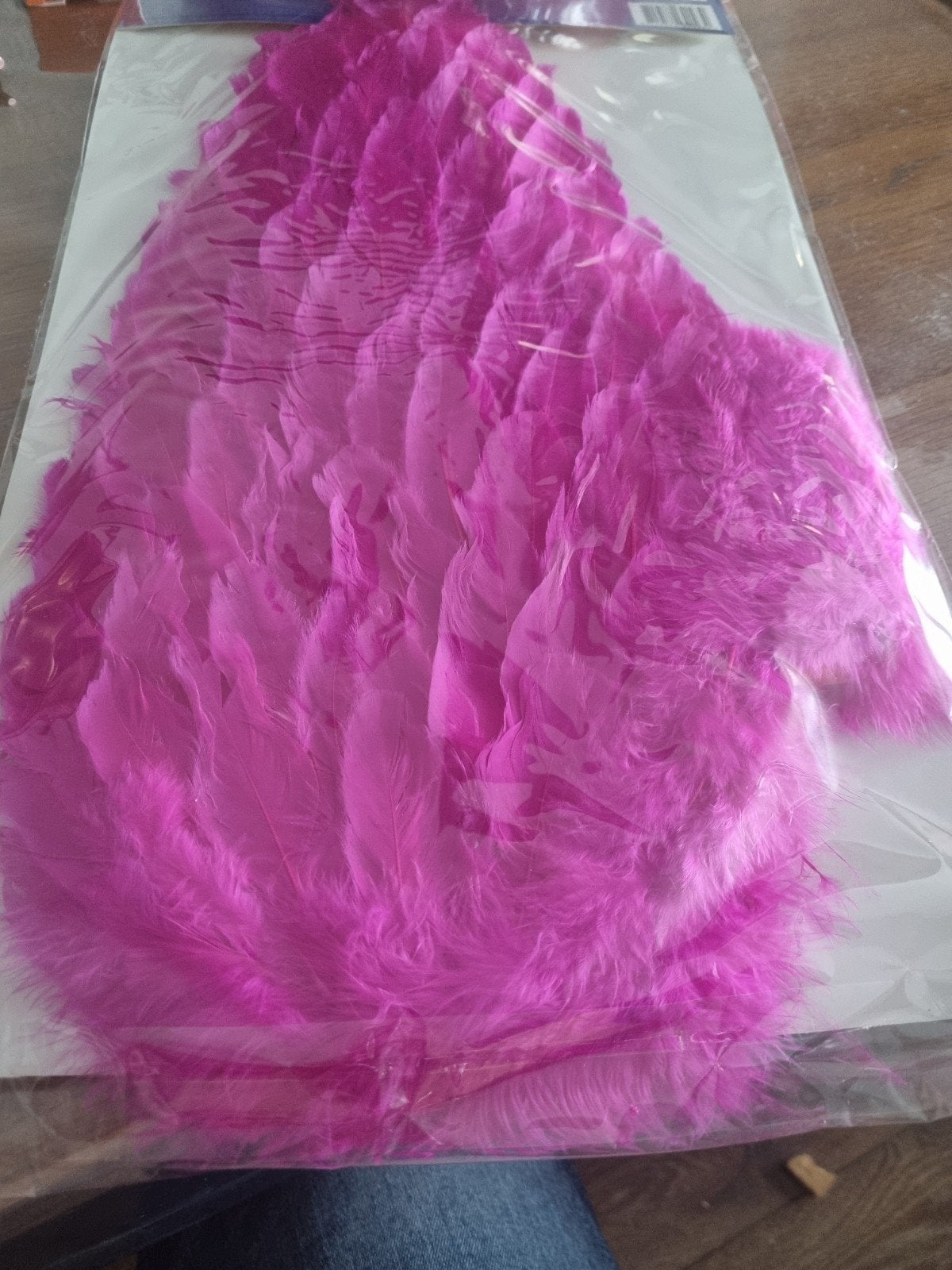 carnavalskleding, Ophalen of Verzenden, Nieuw, Carnaval