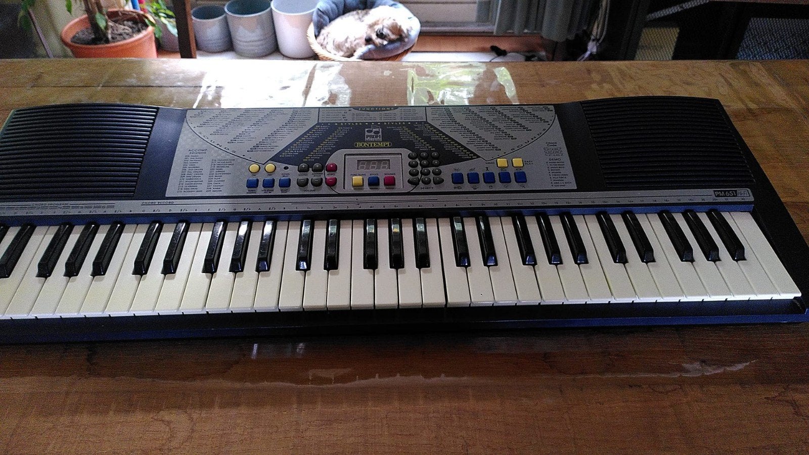 Bontempi Keyboard met 61 toetsen en adapter, Ophalen of Verzenden, Gebruikt, 61 toetsen, Overige merken