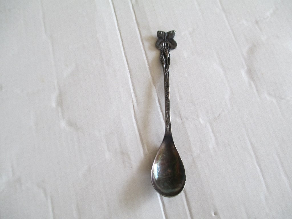 lepeltje pinksterbloem, Ophalen of Verzenden, Gebruikt, Rvs of Chroom