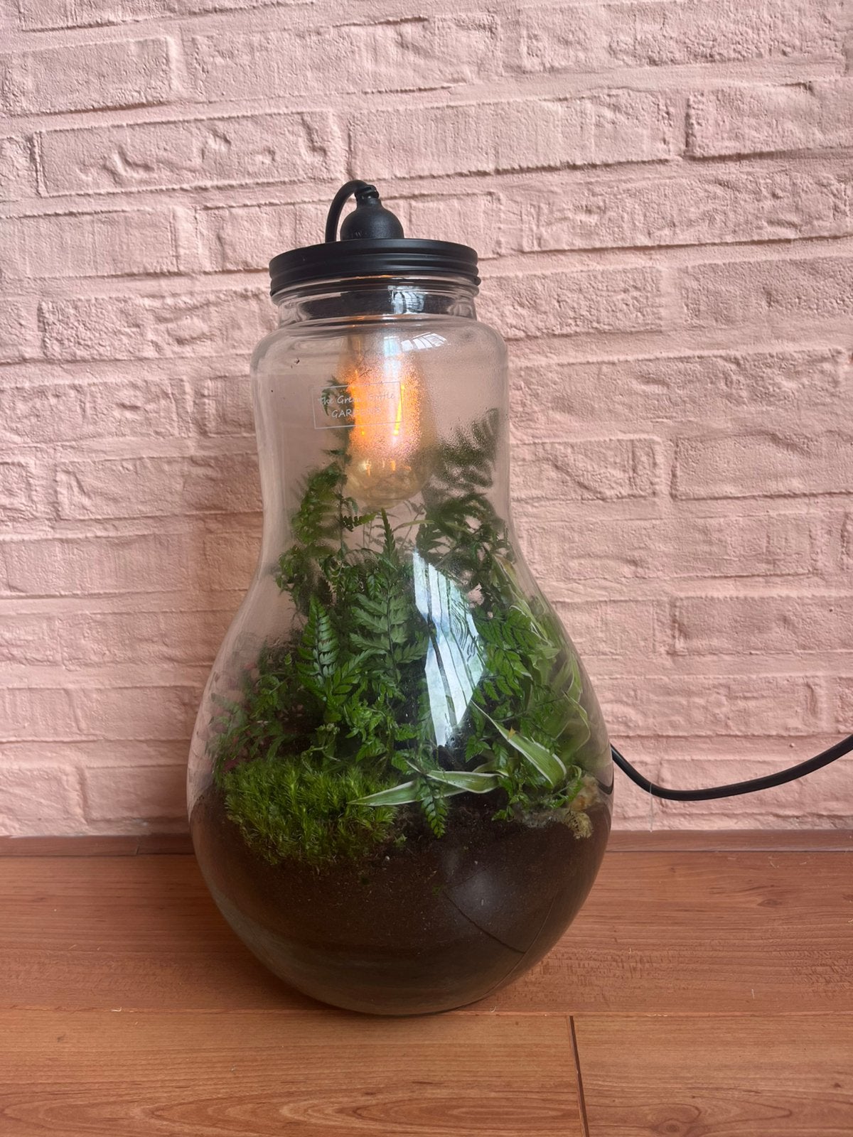 Plant ik glas met lamp, the green bottle Garden, Ophalen, Zo goed als nieuw, E27 (groot), Led-lamp