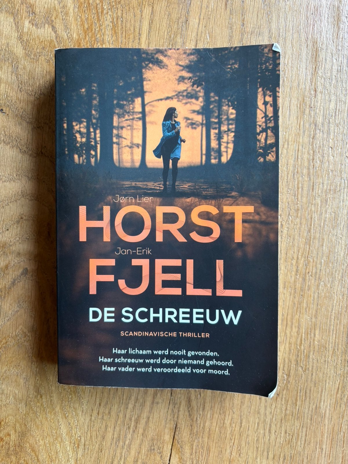 De schreeuw jorn lier horst jan erik fjeil, Ophalen of Verzenden, Zo goed als nieuw