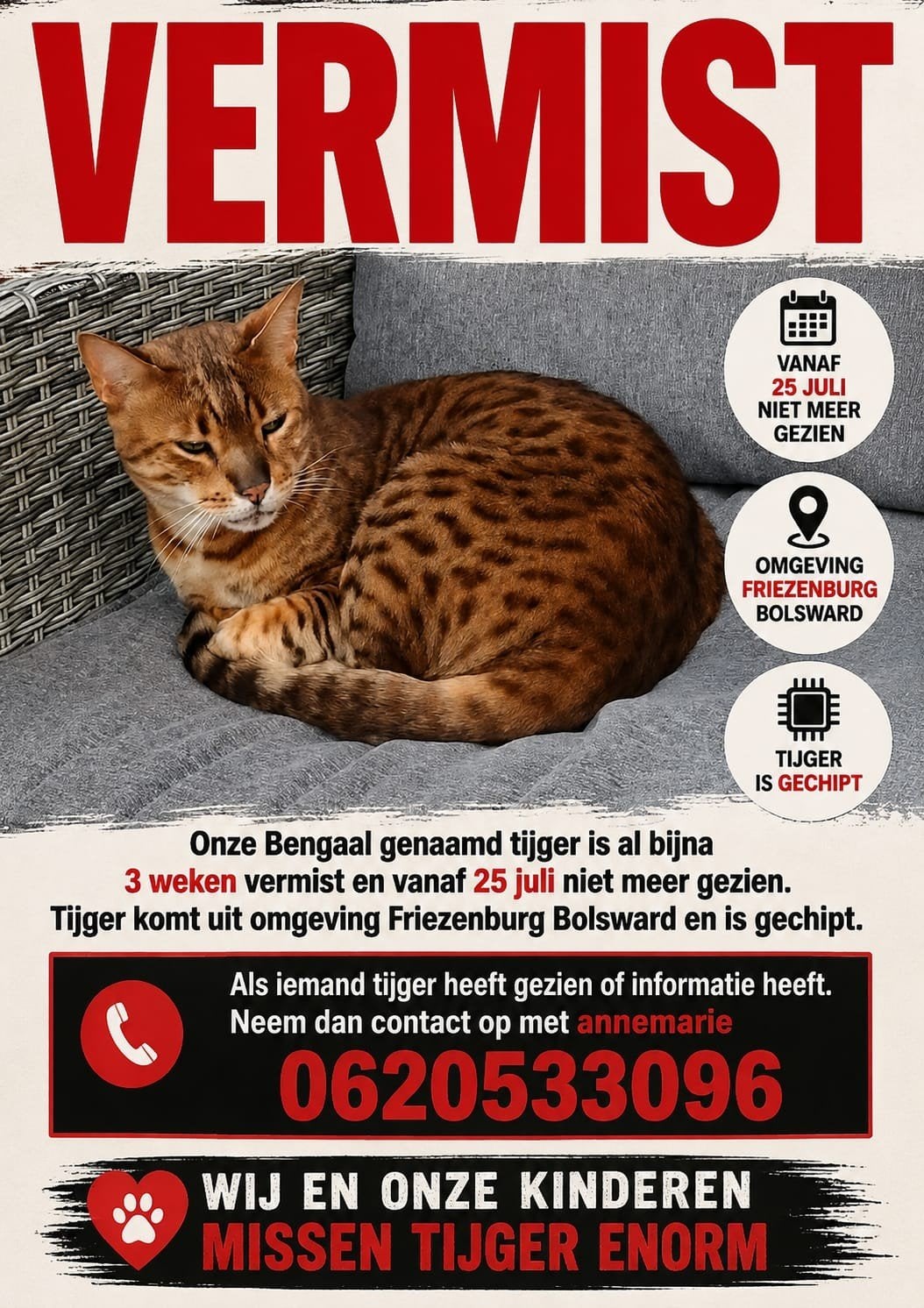 bengaalse kater vermist
