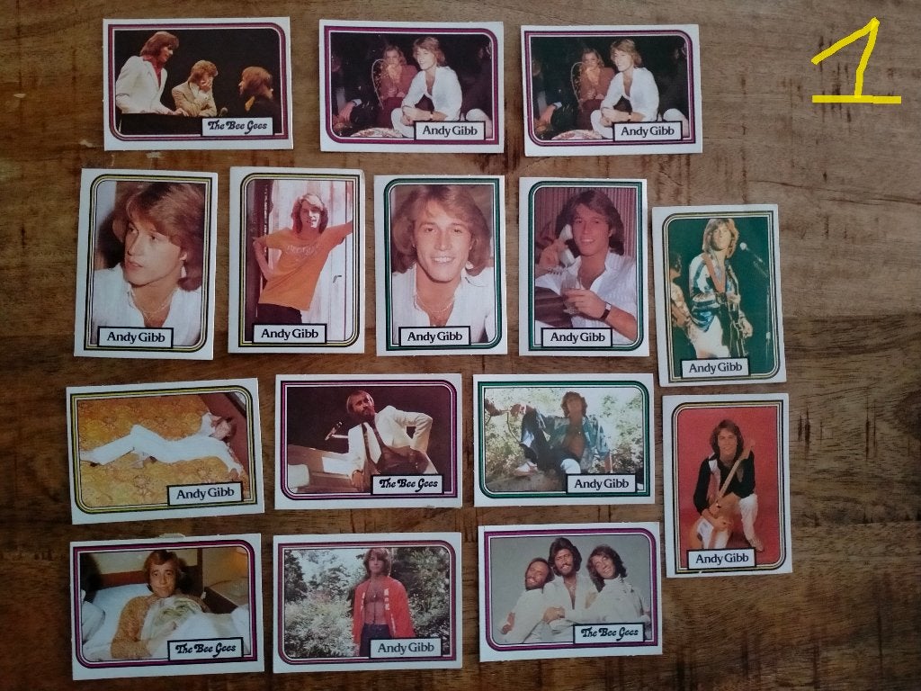 the Beegees Bee Gees Brothers Gibb Monty kaartjes vintage, Verzamelen, Ophalen of Verzenden, Gebruikt, Foto of Kaart