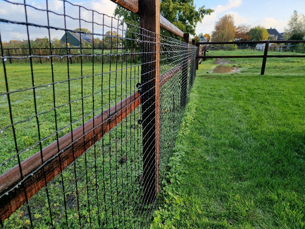 Eurofence Tuingaas 5x5 cm | Hoogte 80 cm, Tuin en Terras, Ophalen, Nieuw, 20 meter of meer, Gaas