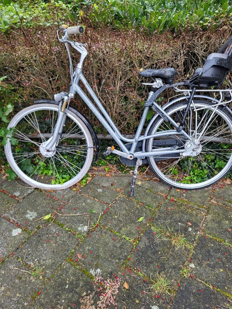 Moeder fiets, 2 zitjes, Gebruikt, Buggydrager, Ophalen