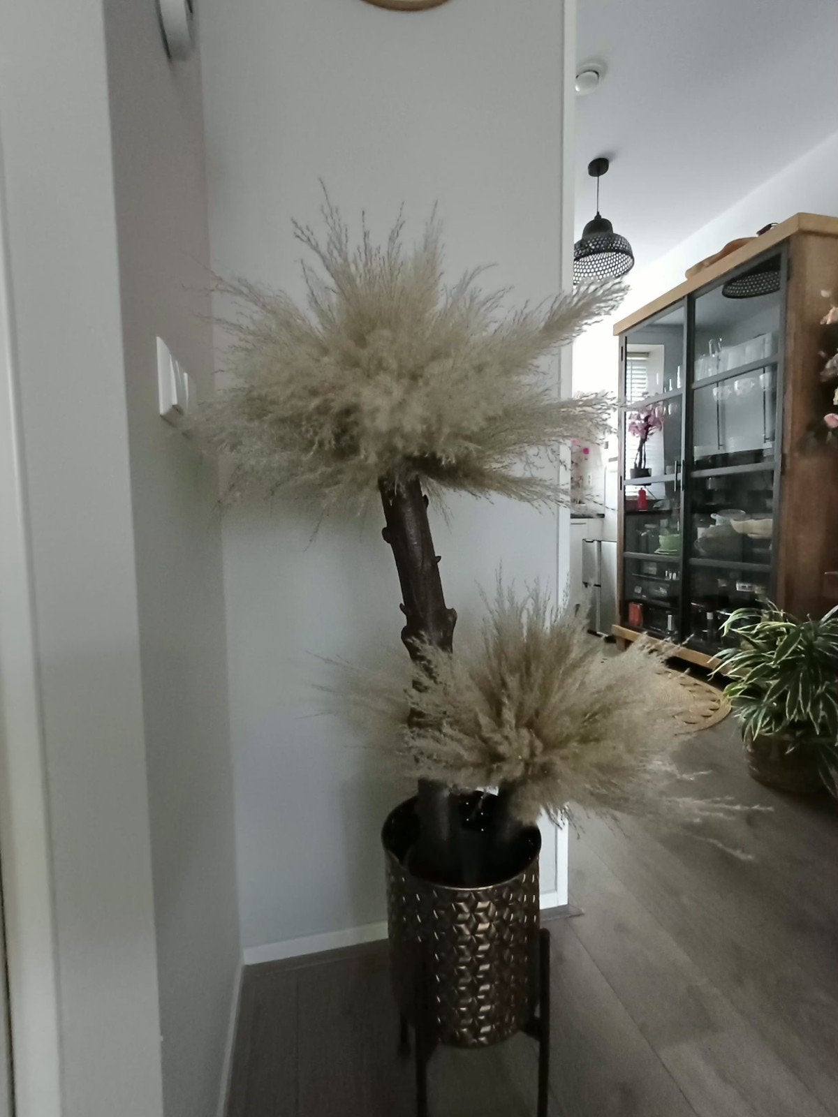 Mooie decoratieve pampasgras boom, Ophalen of Verzenden, Nieuw