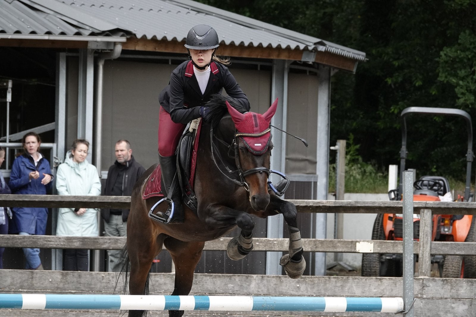 Springpaard gezocht, Dieren en Toebehoren, Paarden en Pony's | Overige Paardenspullen, Ophalen of Verzenden