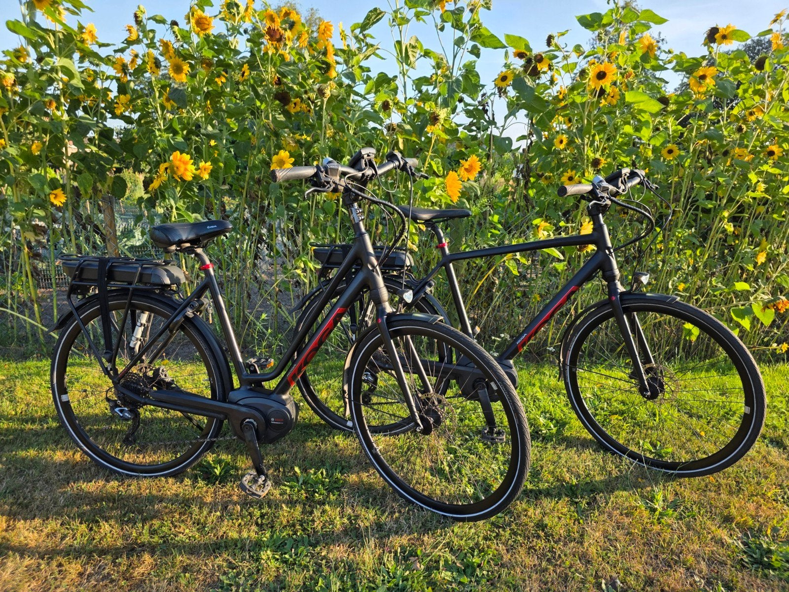 Fantastische set Koga e-bikes € 1.295, setprijs € 2.500, Zo goed als nieuw, 50 km per accu of meer, 55 tot 59 cm, Ophalen