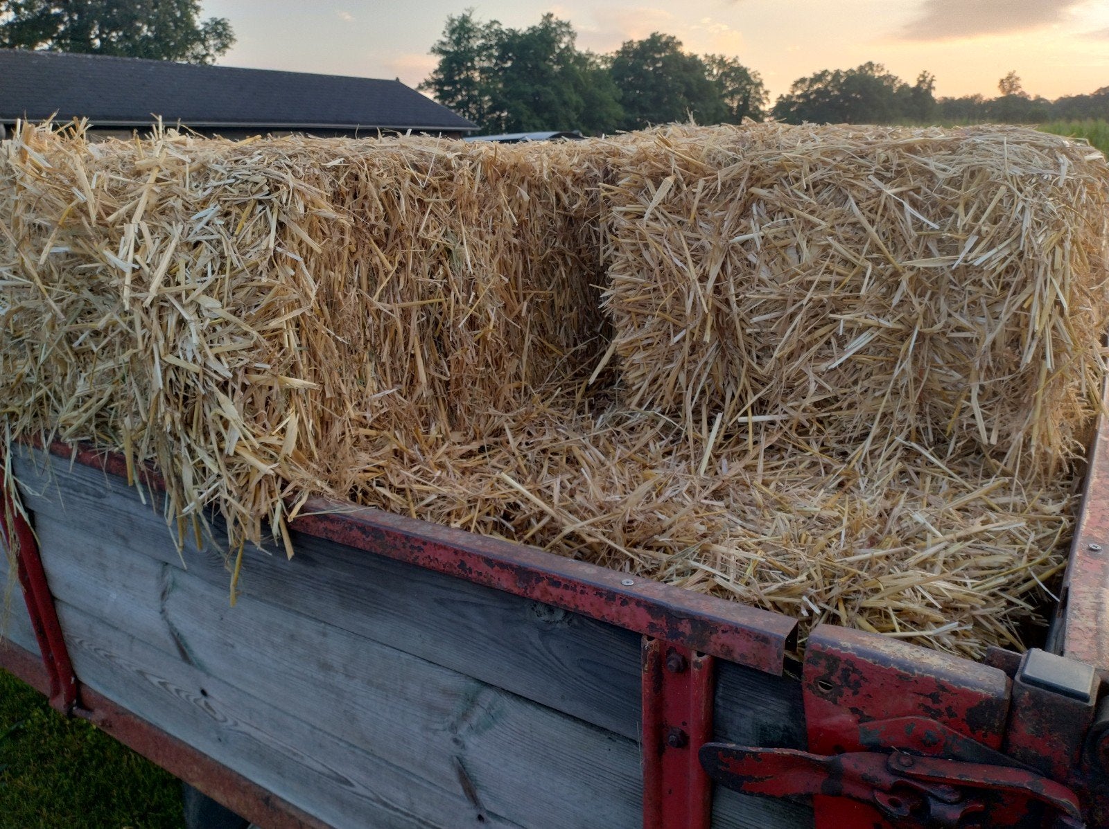 Gerstestro 21 baaltjes, Dieren en Toebehoren, Stalling en Weidegang