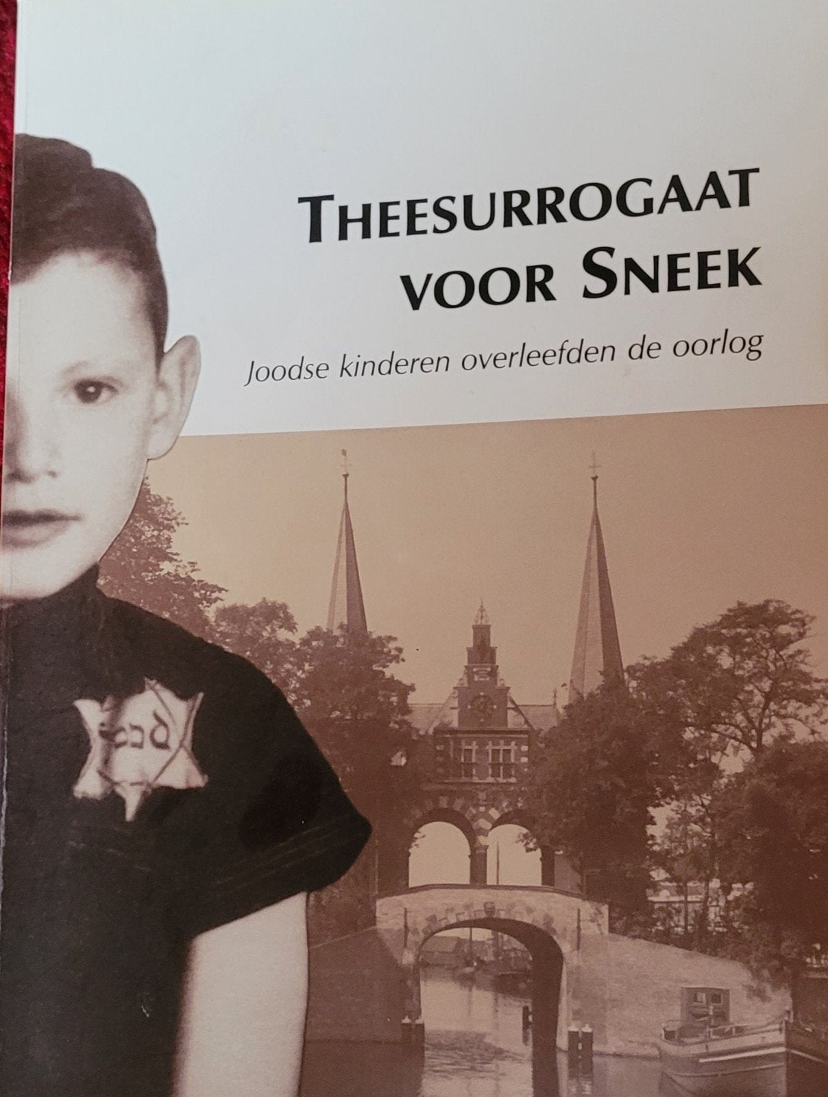 Theesurrogaat v Sneek.onderduik joodse kids waargebeurd WOII, Boeken, Ophalen of Verzenden, Tweede Wereldoorlog