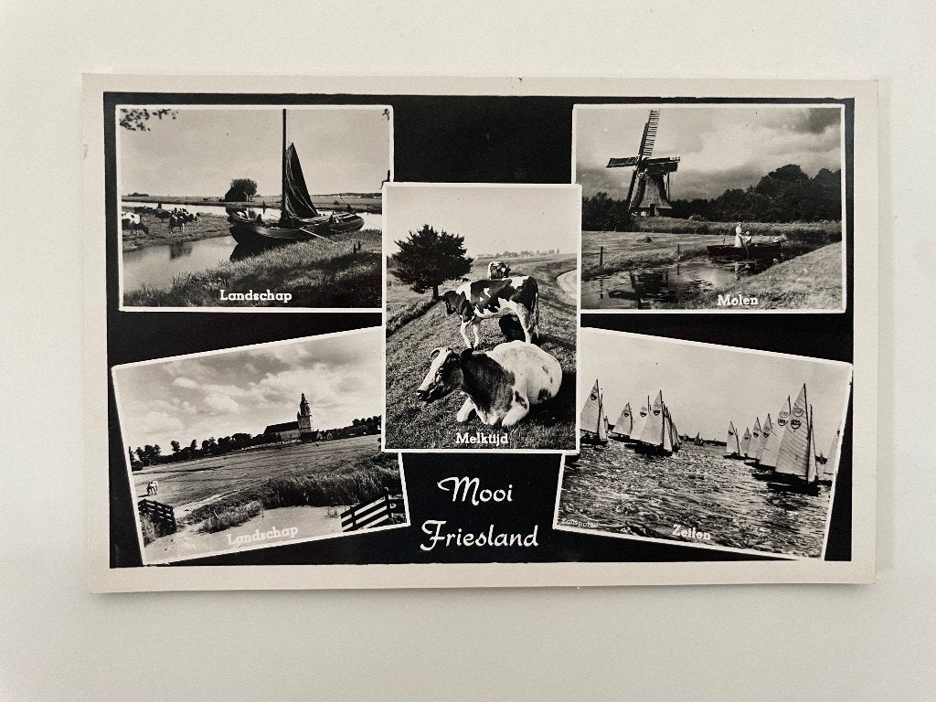 D881 Oude ansichtkaart Friesland : Mooi Friesland, Ophalen of Verzenden, 1980 tot heden, Ongelopen, Friesland