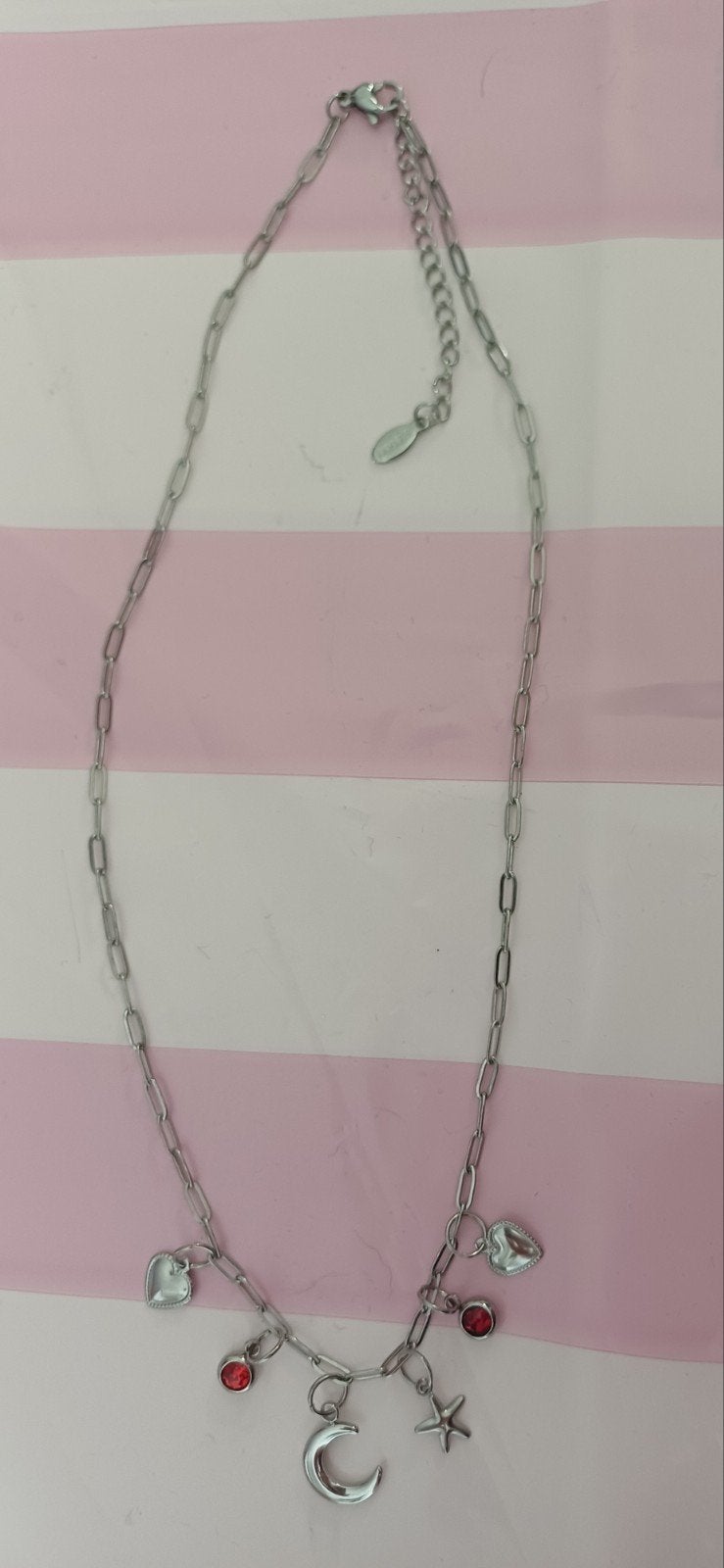 Stainless steel ketting, Ophalen of Verzenden, Zilver, Overige materialen