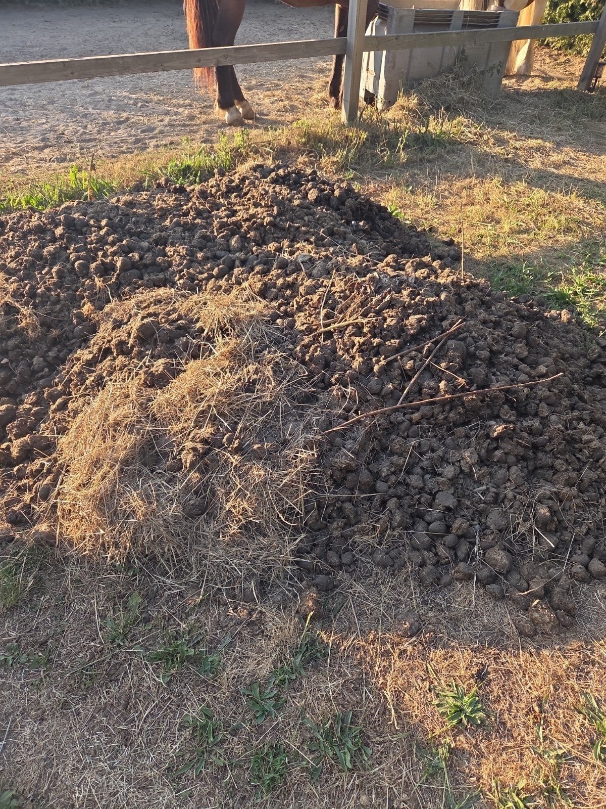 Paardenmest, Tuin en Terras, Aarde en Mest, Ophalen, Tuinaarde