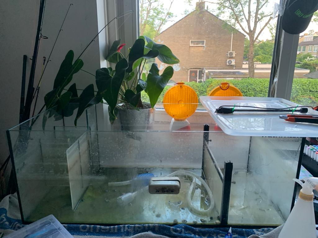 Groot aquarium alleen een kleine opknap buurt, Dieren en Toebehoren, Reptielen en Amfibieën | Toebehoren, Ophalen, Zo goed als nieuw