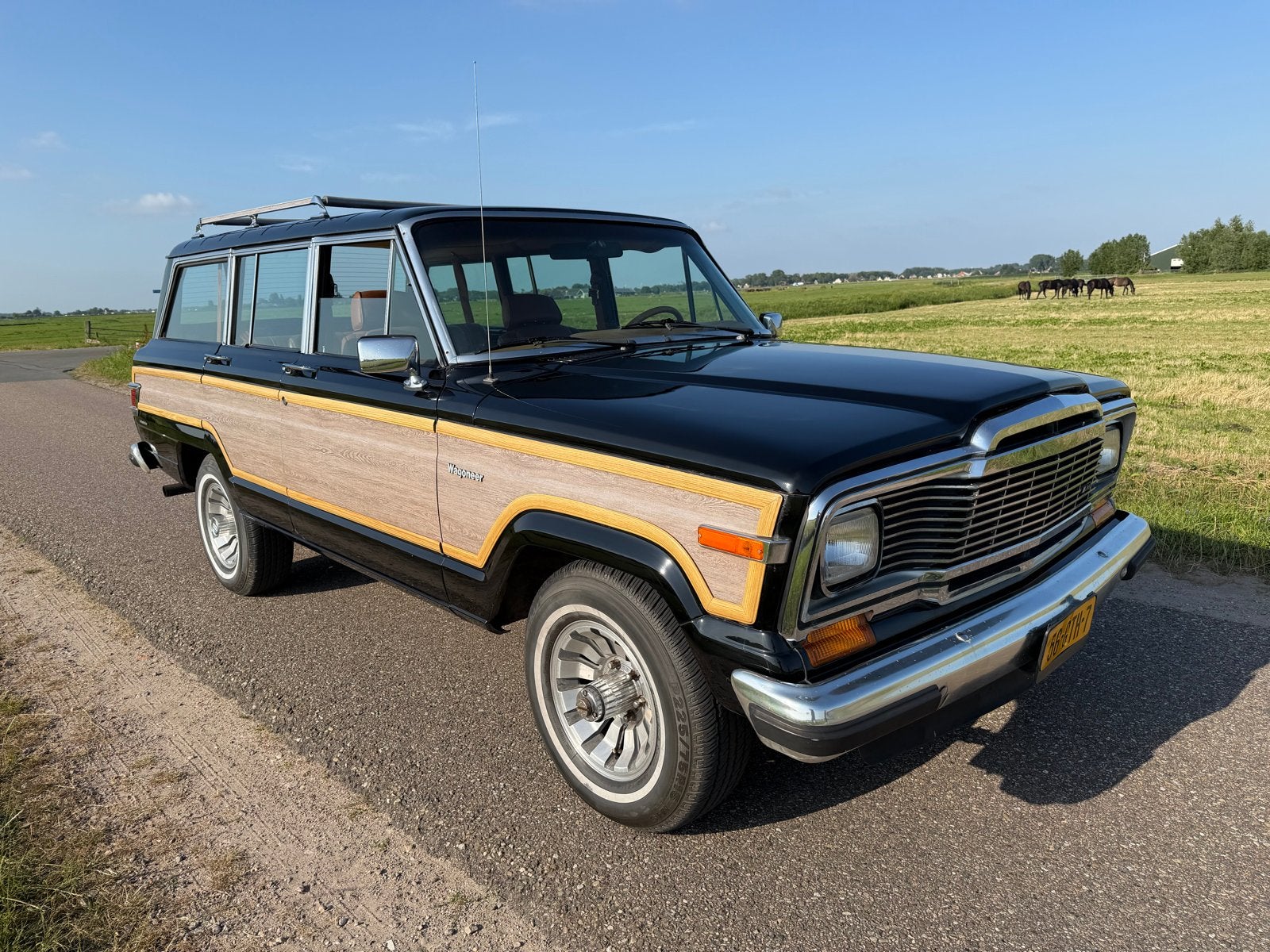 Jeep Wagoneer limited 5.9 AUT 4WD 1983 4x4, Auto's, Jeep, Automaat, 1940 kg, 8 cilinders, 155 pk