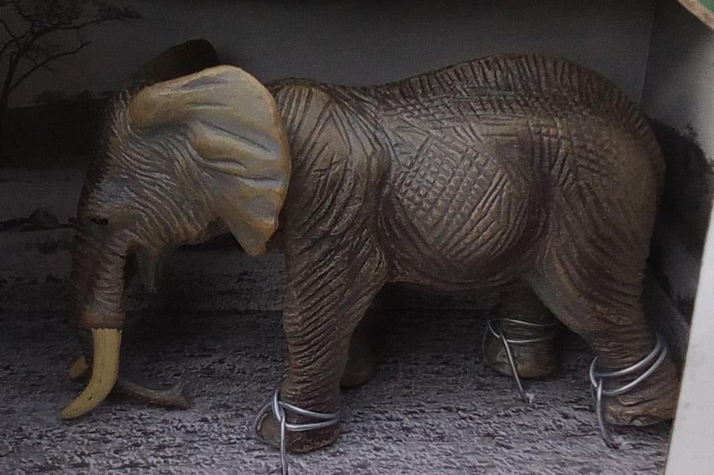 Afrikaanse Olifant Bul - Collect Wild Life - Modelfiguur, Ophalen of Verzenden, Nieuw, Wild dier, Beeldje of Figuurtje