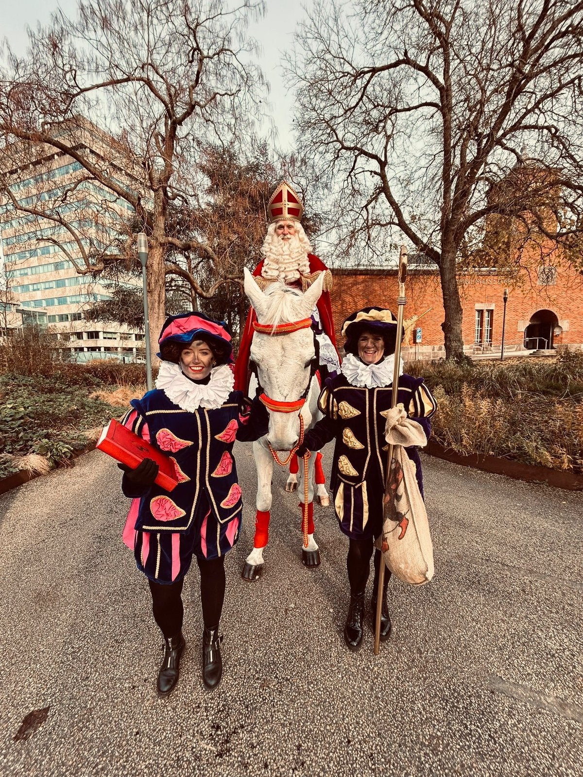 Sinterklaas in Geldrop, Ophalen, Nieuw