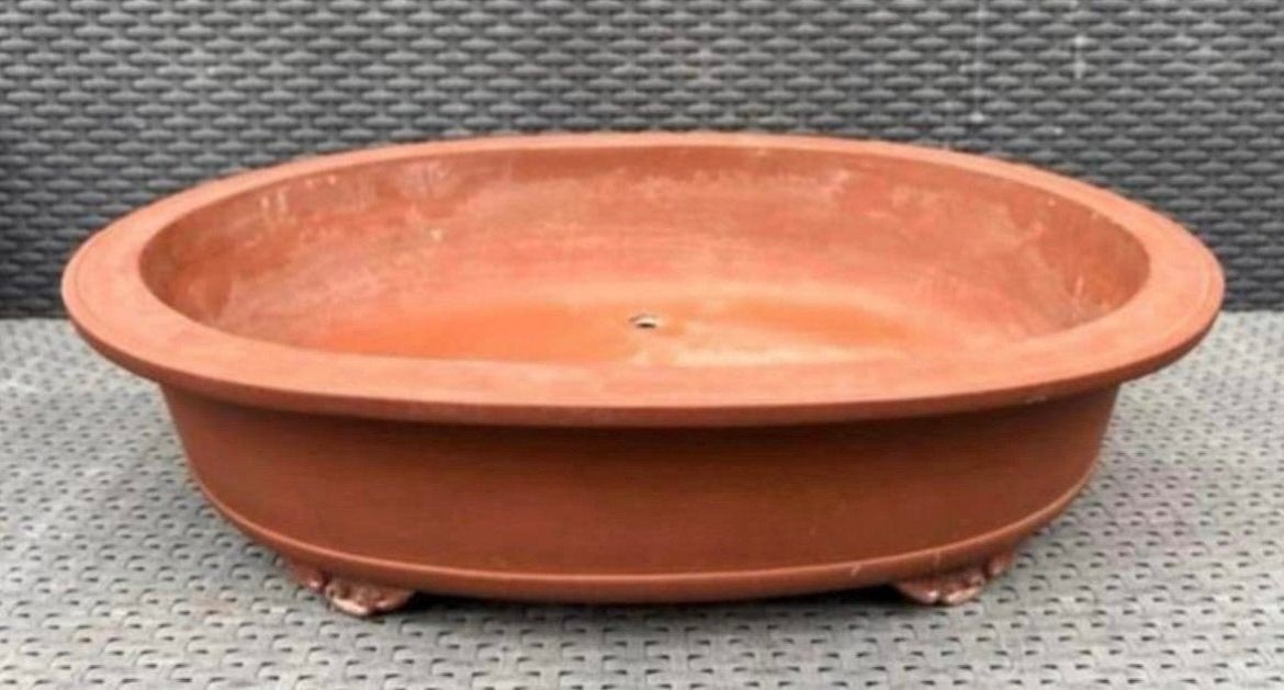 Bonsai schaal ovaal handgemaakt ShuHoZan 56,2x42,9x13,8, Ophalen, 40 cm of meer, Zo goed als nieuw, Minder dan 40 cm