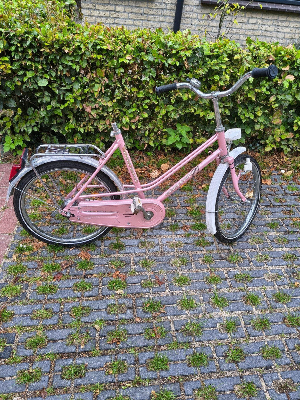 GRATIS meisjesfiets 20 inch met nieuwe banden, Fietsen en Brommers, Fietsen | Dames | Damesfietsen, Minder dan 47 cm, Ophalen