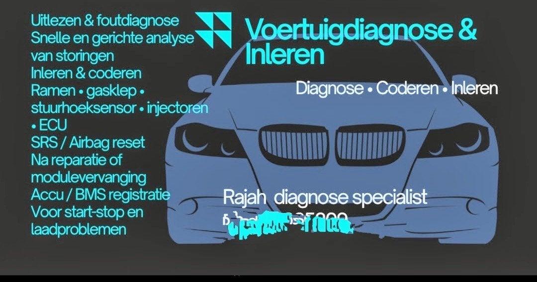 Professioneel auto uitlezen Diagnose rapport Inleren, Ophalen of Verzenden