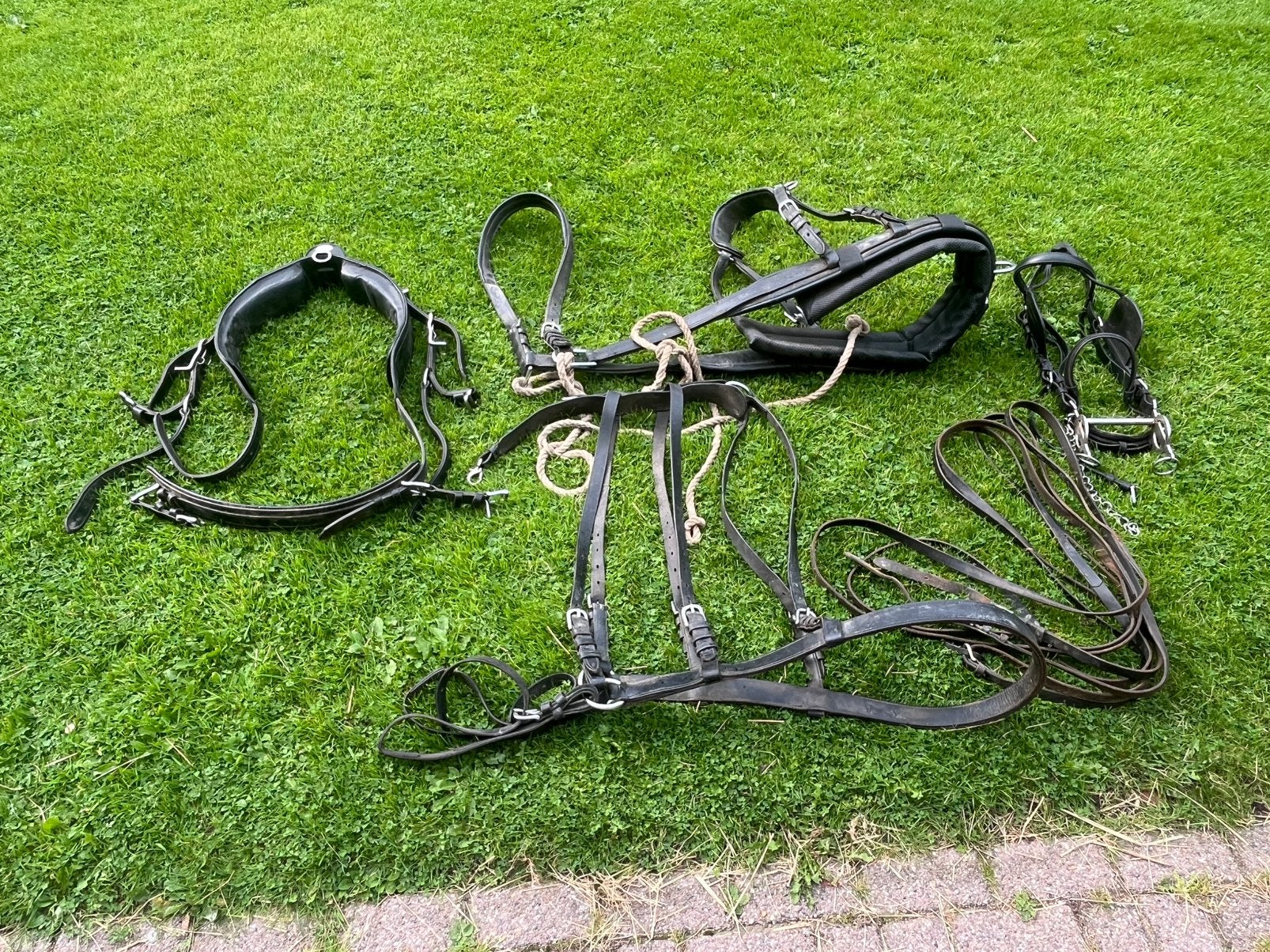 Ideal compleet mentuig, Dieren en Toebehoren, Gebruikt, Mentuig, Ophalen of Verzenden, Zacht onderlegd