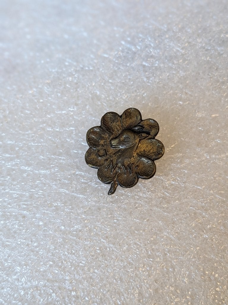 dunmetaal brochespeld JNW Jeugd Natuur Wacht, Ophalen of Verzenden, Speldje of Pin