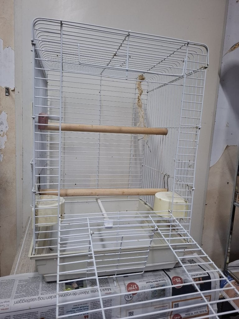 vogel kooi voor Grasparkieten, Dieren en Toebehoren, Ophalen, Zo goed als nieuw, Metaal, Vogelkooi
