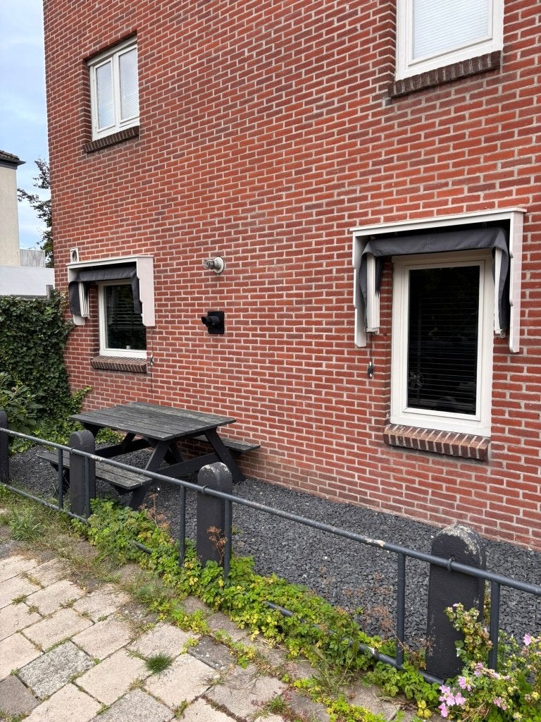 Prachtige markiezen – nog geen 3 jaar oud - Maarssen, Ophalen, Markies, Minder dan 150 cm, Minder dan 250 cm