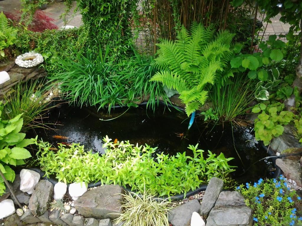 vijver compleet, Tuin en Terras, Vijvers, Gebruikt, Ophalen