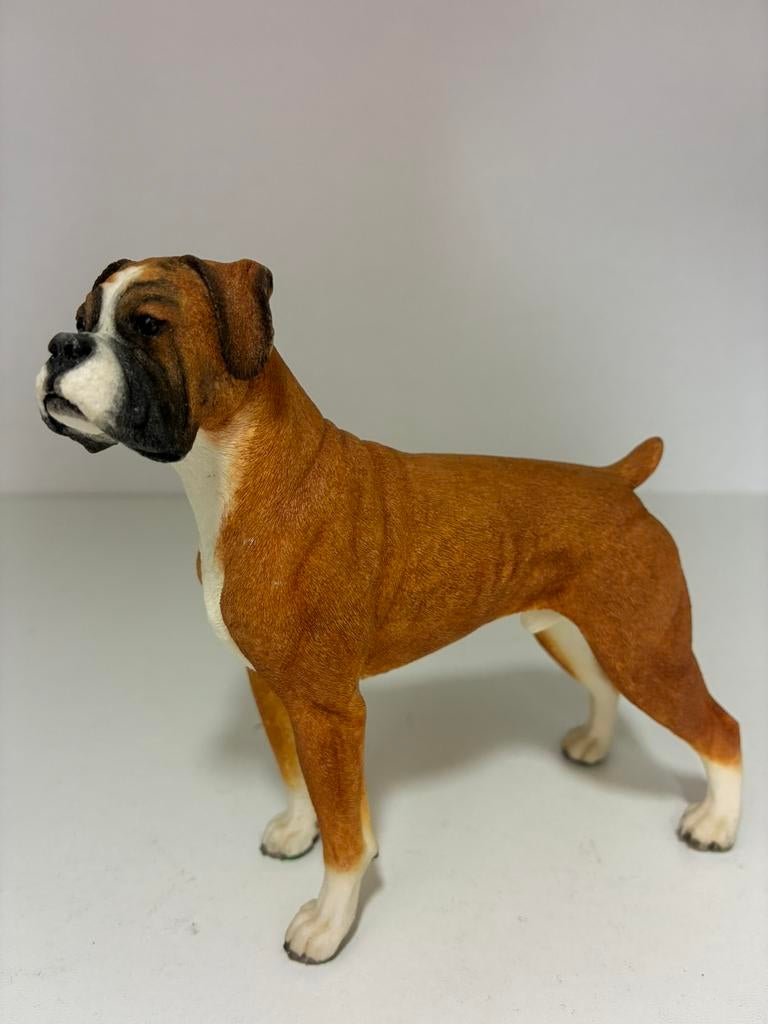 Best in Show Country Artist Boxer, Verzamelen, Beelden en Beeldjes, Ophalen of Verzenden, Zo goed als nieuw, Dier