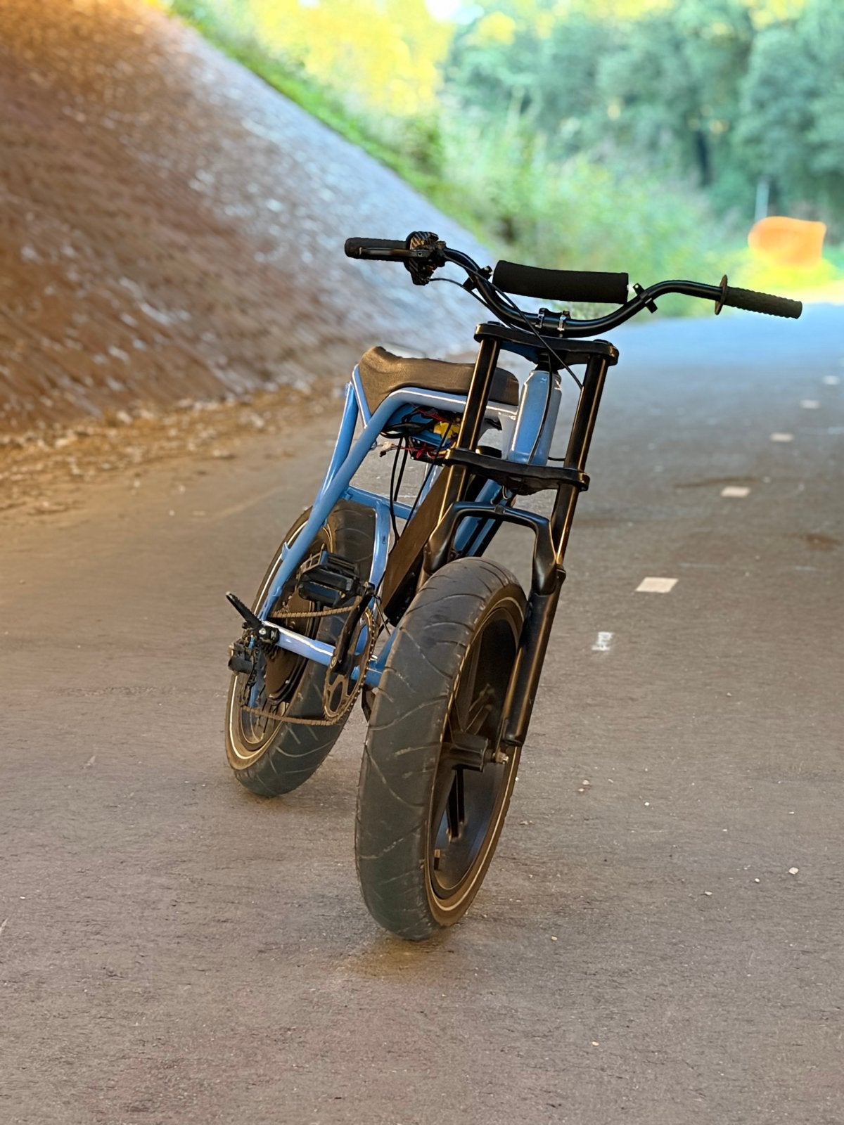 Custom Fatbike: Lange Afstand, Snelheid & Magura MT5 Remmen, Gebruikt, Minder dan 47 cm, 50 km per accu of meer, Ophalen